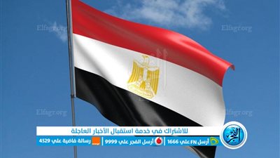 عاجل - أول رد فعل مصري بعد دخول الهدنة في غزة حيز التنفيذ
