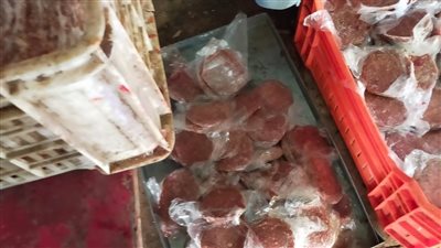 بيطري الجيزة يضبط 5 آلاف كيلوجرام لحوم ودواجن وأسماك مستوردة فاسدة