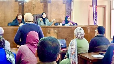  تعرف علي أهم قرارت المجلس التنفيذي لمركز ومدينة طلخا بالدقهلية