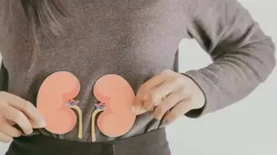 حافظ على صحة الكلى ومستويات الكرياتينين لديك بهذه الإجراءات البسيطة