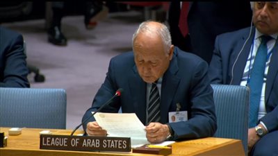 أبو الغيط: كل يوم يمُر مع استمرار العدوان الاسرائيلي علي غزة يبعدنا عن سلامٍ مستدام 