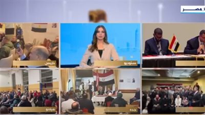 الاتحاد العام للمصريين في الخارج: 