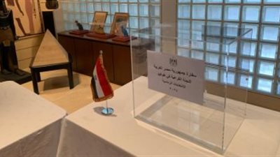 المصريون بالإمارات وإيران يدلون بأصواتهم في انتخابات الرئاسة 2024.. تفاصيل