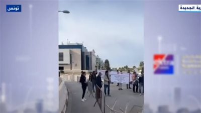 شاهد| الجالية المصرية في تونس تدلي بأصواتها في الانتخابات الرئاسية 2024