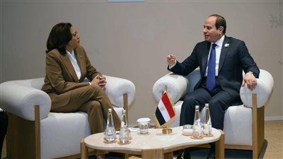 عاجل| الرئاسة تكشف تفاصيل لقاء السيسي بنائبة الرئيس الأمريكي في دبي