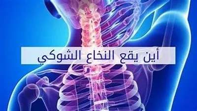 النخاع الشوكي.. اسبابه وانواعه واعراض الاصابة به