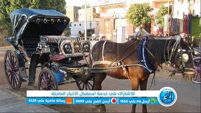 آخر مظاهر الزمن الجميل.. 