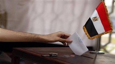 أمين اتحاد المصريين في الخارج يكشف تفاصيل سير العملية الانتخابية في الكويت