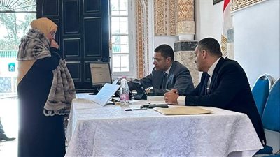 عاجل| الهيئة الوطنية للانتخابات تعلن موعد فرز أصوات الناخبين بالخارج 