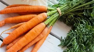 7 أسباب تدفعك لتناول الجزر يوميًا.. بينهم تحسين الرؤية وصحة جلد افضل