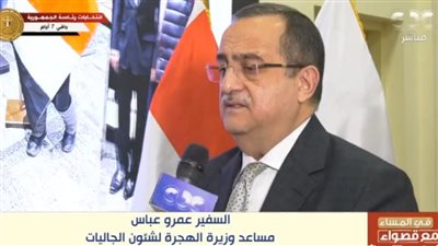 السفير عمرو عباس: الإعداد لانتخابات الرئاسة بدأت برحلة مكوكية لوزيرة الهجرة لمناطق الكثافة التصويتية