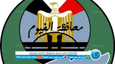 تجهيز 323 لجنة للانتخابات الرئاسية بجميع مراكز وقرى الفيوم 