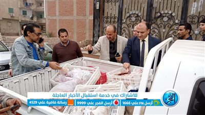 ضبط 4 أطنان مواد غذائية ولحوم ودقيق في حملة لحماية المستهلك ببني سويف (فيديو وصور)