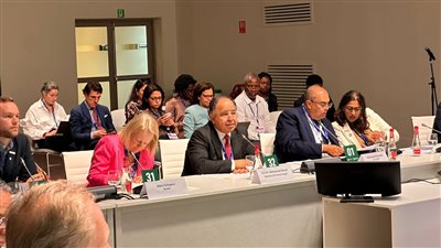  وزير المالية: يطالب بتطوير الهيكل المالي العالمي لتيسير التمويل الأخضر بالدول النامية