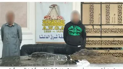 ضبط 250 طربة لمخدر الحشيش بحوزة عاطلين بالدقهلية
