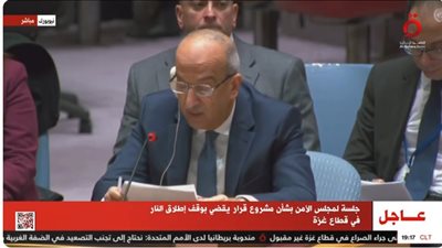 عاجل| مندوب مصر بالأمم المتحدة يدعو مجلس الأمن بالوقف الفوري لإطلاق النار في غزة (فيديو)