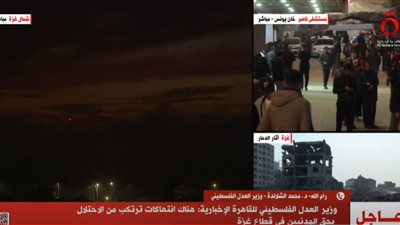 وزير العدل الفلسطيني: إسرائيل تمردت على القانون الدولي وأمريكا قيدته (فيديو)