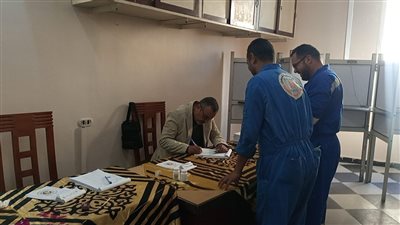 إقبال من الناخبين على لجان الوافدين بالإسكندرية للتصويت في الانتخابات الرئاسية 2024