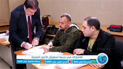 حسين زين: الانتخابات الرئاسية المصرية 