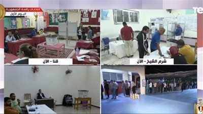 خبير مخاطر أمنية: المرشح الرئاسي عبد الفتاح السيسي هو الأوفر حظا في الانتخابات الرئاسية