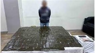 ضبط 234 طربة حشيش بحوزة سائق بالجيزة 