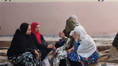 مساعدات خاصة للمسنين وذوي الهمم.. تجربة انتخابات فريدة في محافظة الجيزة