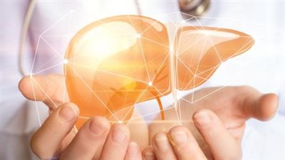  الحفاظ على صحة الكبد: نمط حياة صحي وسليم