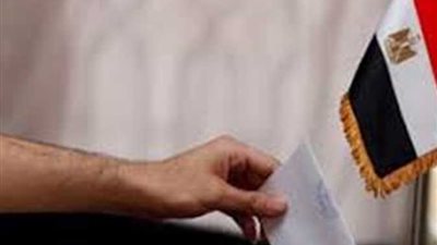 104 سنة.. حكاية الحاجة فتحية من أكبر المشاركين في الانتخابات الرئاسية (فيديو)