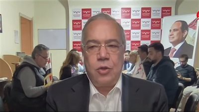 رئيس اللجنة العامة بجنوب القاهرة بشأن إقبال المصريين على التصويت: مظاهرة حب للوطن 