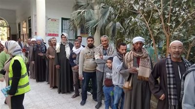 برلماني: لجان الوافدين كانت علامة فارقة في الانتخابات الرئاسية (فيديو)