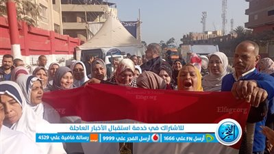 بالأعلام.. زحام كبير في آخر أيام الانتخاب بمدرسة السنطة الثانوية المشتركة بالغربية