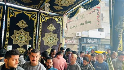 لليوم الثالث على التوالي.. طوابير أمام لجنة المغتربين فى كفر الزيات (فيديو وصور)