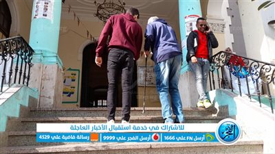 رغم الإعاقة.. حرص كِبار السن على الإدلاء بصوتهم في آخر أيام انتخابات الرئاسة في لجنة قصر الدوبارة