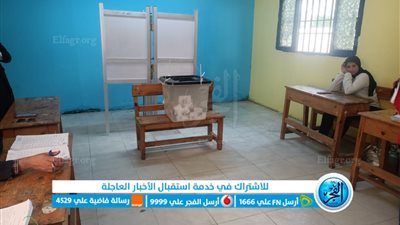 بعد انتهاء التصويت.. موعد عملية فرز الأصوات للانتخابات الرئاسية 2024