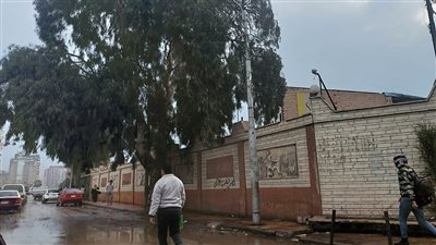 طقس متقلب وأمطار ملحوظة في الدقهلية (صور)