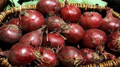 بعد تراجعه.. الزراعة تزف بشرى سارة عن أسعار البصل الفترة المقبلة