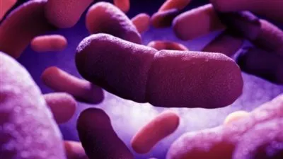 كل ما تريد معرفته عن مرض الطاعون