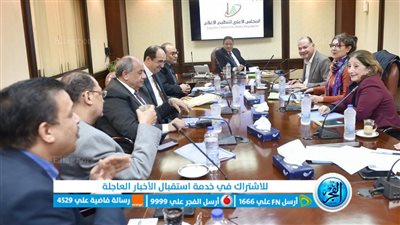 “الأعلى لتنظيم الإعلام”: تغطية الانتخابات الرئاسية جاءت مسايرة لكافة المعايير الدولية والمصرية