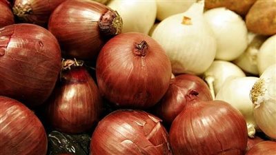 نقيب الفلاحين يكشف مفاجآت في أزمة البصل (فيديو)