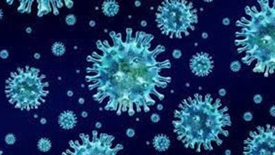 البكتيريا العضوية: دور حيوي في دورة الحياة الطبيعية