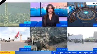 أستاذ علاقات دولية: مخطط تهجير الفلسطينيين خبيث (فيديو)