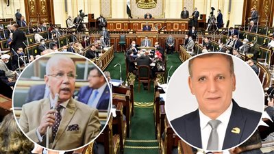 قبل إعلانها بساعات.. ما أولويات الرئيس القادم في الفترة المقبلة؟