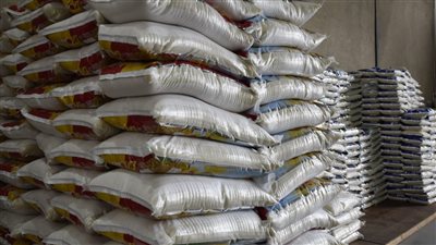 عادل الغضبان يتفقد مصنع مضرب الأرز جنوب بورسعيد