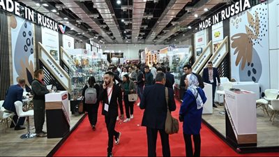 20 مليون دولار.. حصيلة مفاوضات روسيا التجارية خلال مشاركتها بمعرض 
