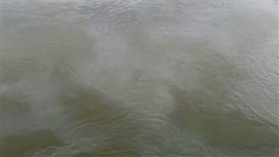 ظهور بقعة سولار أمام مأخذ محطة مياه المراغة السطحية بسوهاج