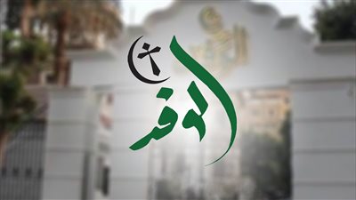 تعيين شقيق نائبة الغش يثير غضب الوفديين.. و