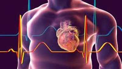 أعراض ومضاعفات تضخم عضلة القلب وكيفية علاجها