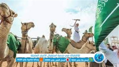 مجلس الوزراء السعودي يوضح الخطط الاحتفالية بعام الإبل واستعدادات استضافة إكسبو 2030