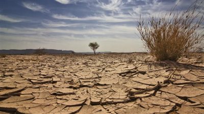 الأرز في خطر.. ما هي ظاهرة النينو وتأثيرها على السلعة الأكثر استهلاكًا بالعالم؟