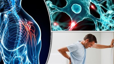 مرض التصلب المتعدد: التشخيص والأعراض وسبل الإدارة 